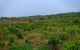 thum-7390010_MT6b2EsWt0_1610524911.jpg