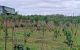 thum-7390010_RM5Pf8wGKT_1610524902.jpg