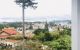 thum-7439057_POw2VZoaYf_1611201025.jpg