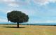 thum-m_s26SlWnXqb_1611306200.jpg