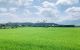 thum-7514023_U3E7wrgHkt_1612494707.jpg