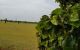 thum-7514064_3s7phrfWRw_1612497631.jpg