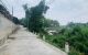 thum-7564046_eD8wKp1cyU_1614138416.jpg
