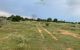 thum-7566219_0NlsPUMuv1_1614161795.jpg