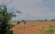 thum-7569917_JWy0Azg4PT_1614225424.jpg