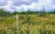 thum-7590679_W5CAUV4yxM_1614563352.jpg