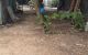 thum-7591645_dqecpaNb8S_1614572215.jpg