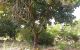 thum-7604702_9LjUCiMzAy_1614741326.jpg