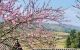 thum-7606185_ruJmfY3Ktb_1614755447.jpg