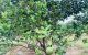 thum-7614672_bEKs1evC2N_1614845419.jpg