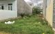 thum-m_E2ay7leqMB_1614829498.jpg