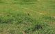 thum-7622995_4cHQpLPoX6_1614938854.jpg