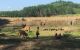 thum-m_KIlNhnj4R8_1615082259.jpg