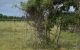 thum-m_SdR1LYBCxb_1615276543.jpg