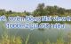 thum-m_P96zmN5Vs4_1615358874.jpg