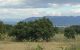thum-7650196_vyRgEPiKA6_1615448907.jpg