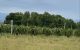 thum-7650416_NiT4EOvtc7_1615450481.jpg
