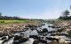thum-7662337_XCBYyt2mn8_1615696811.jpg