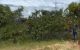 thum-m_UKGjIv2fzy_1615799495.jpg