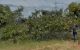 thum-7677100_XQbP7JMqFz_1615970082.jpg