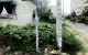 thum-m_kHi2UcF6vj_1615948136.jpg