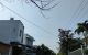 thum-7681729_s6cLJxPwiN_1616038846.jpg