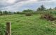 thum-7683592_PeHlwra2G8_1616058673.jpg