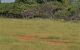thum-m_KNsla8Gcgz_1616060219.jpg