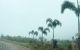 thum-m_eClEbg2FJt_1616307727.jpg