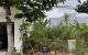thum-7700505_kIaSbQ1APi_1616393766.jpg