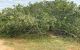 thum-7707356_briuFA2zx9_1616491255.jpg