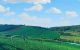 thum-7709964_EoKJhiwgxO_1616550084.jpg