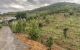 thum-m_NIRGqAw18s_1616588619.jpg