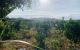 thum-7727036_kti7Zm5VUe_1616855837.jpg