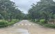 thum-7732472_sy4FJo39Zw_1616980079.jpg