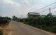 thum-7743034_gde72vBZxt_1617160463.jpg