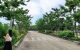 thum-m_Brbc26VoOM_1617177066.jpg