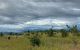 thum-7750377_b5Deg1dpE7_1617268652.jpg
