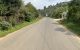 thum-7750751_pD7s6CqcgK_1617283219.jpg