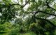 thum-7753218_NS0cjtG3KU_1617332698.jpg