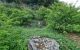 thum-7753218_xlovOrTFQX_1617332710.jpg