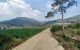 thum-7754333_63BiWDVFSU_1617347596.jpg