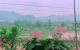 thum-7759412_t0prIMGcRL_1617423530.jpg