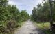 thum-7764011_jdBMfAecRr_1617504589.jpg
