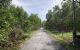 thum-7764011_xzmJARopQO_1617504585.jpg