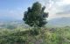 thum-7764250_wIL2VkCQ94_1617508852.jpg