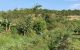 thum-7764260_BxkTOmDhp2_1617508926.jpg