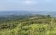 thum-m_cTsdoGgV1L_1617508783.jpg
