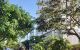 thum-m_KELN5o1iqu_1617608517.jpg