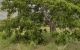 thum-7772580_mQ5qWHtcVe_1617678345.jpg